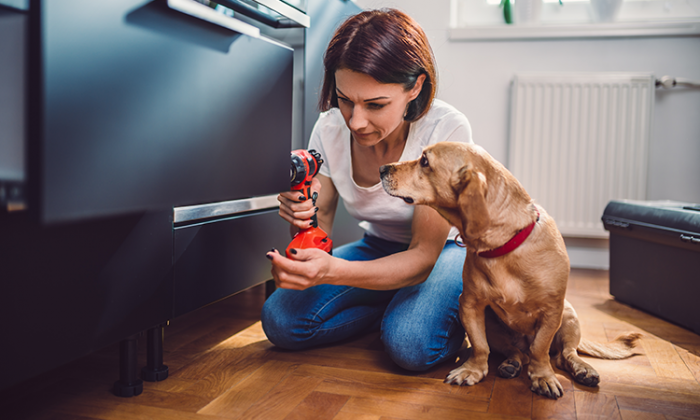 WOMAN DOING KITCHEN REMODEL WITH HELP FROM HER DOG